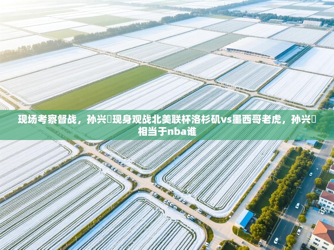 现场考察督战,孙兴慜现身观战北美联杯洛杉矶vs墨西哥老虎,孙兴慜相当于nba谁 第2张