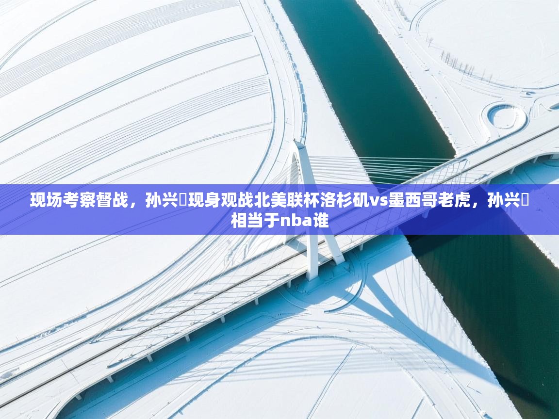 现场考察督战,孙兴慜现身观战北美联杯洛杉矶vs墨西哥老虎,孙兴慜相当于nba谁 第1张