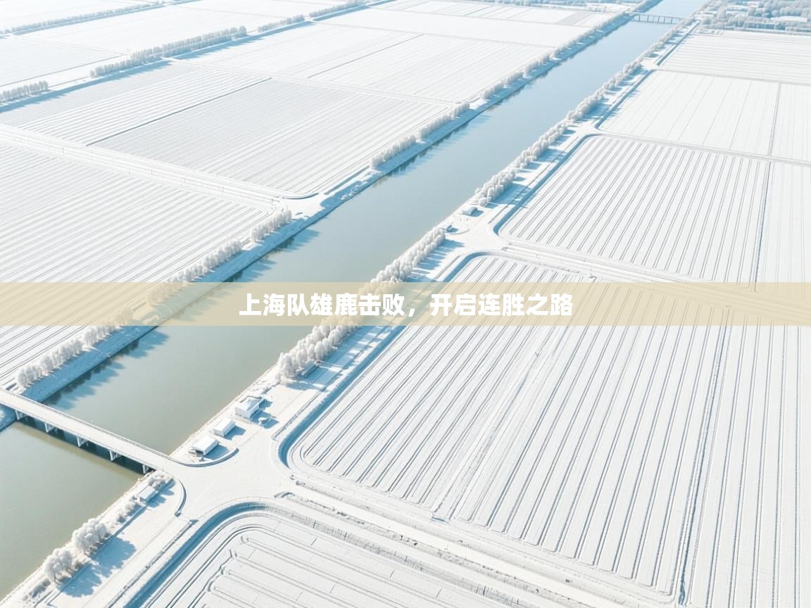 上海队雄鹿击败，开启连胜之路  第2张