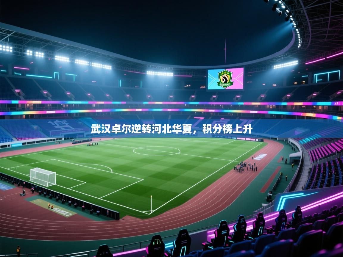 武汉卓尔逆转河北华夏,积分榜上升 第1张