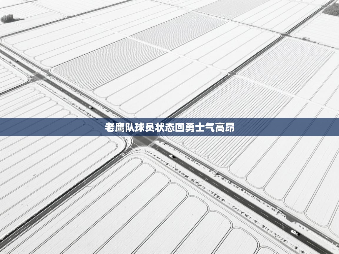 老鹰队球员状态回勇士气高昂  第2张