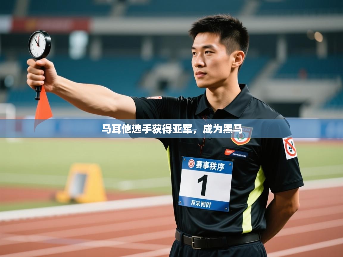 马耳他选手获得亚军，成为黑马  第2张