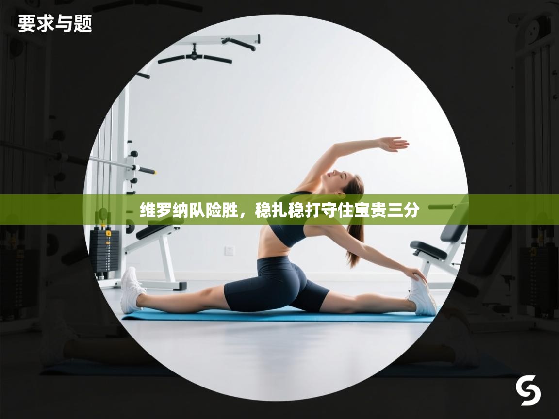 维罗纳队险胜，稳扎稳打守住宝贵三分  第1张