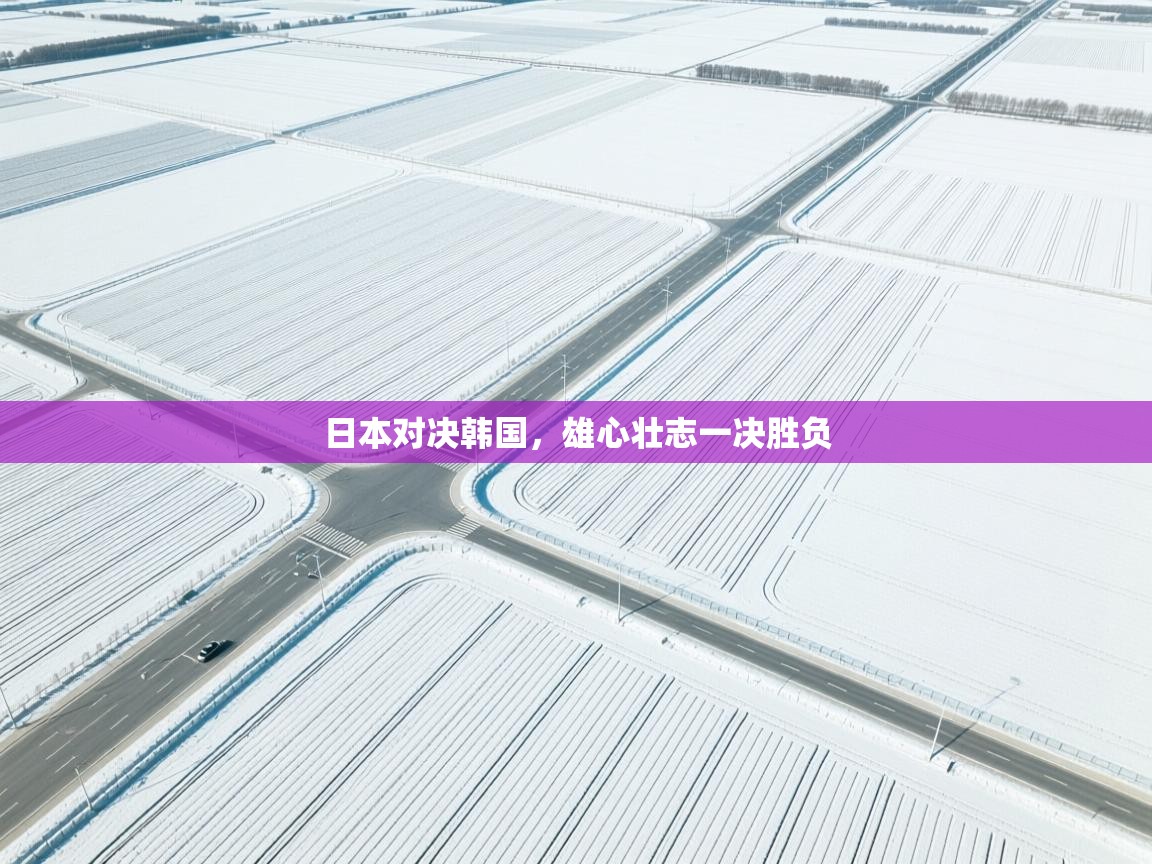 日本对决韩国，雄心壮志一决胜负  第2张