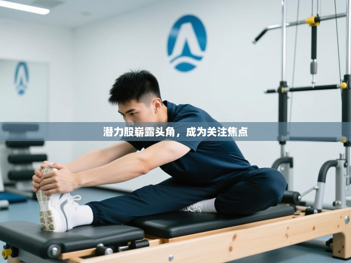 潜力股崭露头角,成为关注焦点 第1张