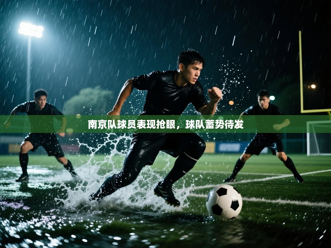 南京队球员表现抢眼,球队蓄势待发 第2张